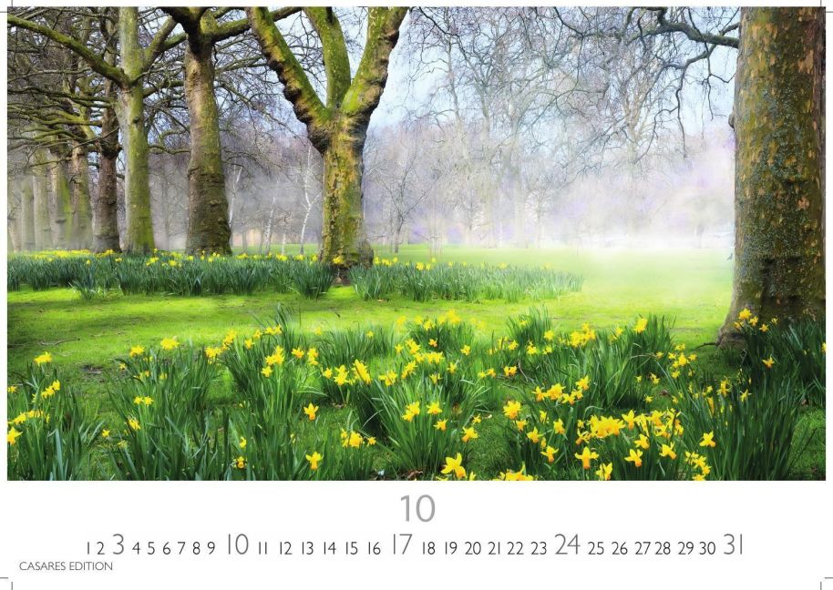 InsideView 10