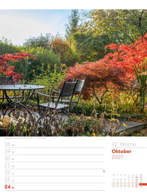 InsideView 46