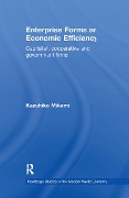 Cover-Bild zum Titel 'Enterprise Forms and Economic Efficiency' von 'Kazuhiko Mikami'