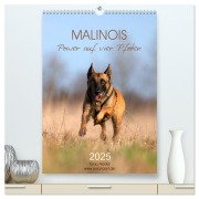 Malinois Power auf vier Pfoten (hochwertiger Premium Wandkalender 2025 DIN A2 hoch), Kunstdruck in Hochglanz - Tanja Riedel