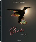 Cover-Bild zum Titel 'Birds' von 'Christian Spencer'