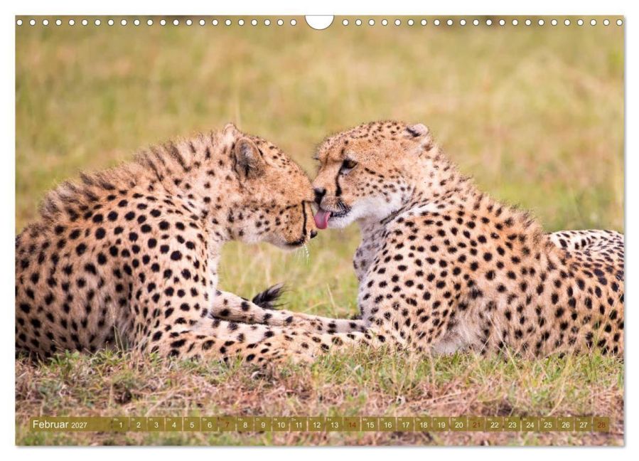 InsideView 7