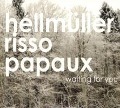 Cover-Bild zum Titel 'Waiting for you' von 'Hellmüller Risso Papaux'