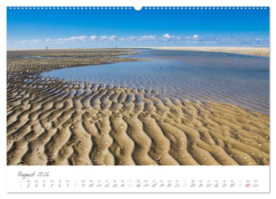 InsideView 13