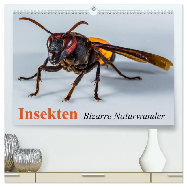 Insekten ¿ Bizarre Naturwunder (hochwertiger Premium Wandkalender 2026 DIN A2 quer), Kunstdruck in Hochglanz - Elisabeth Stanzer