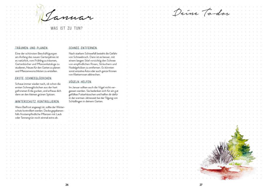 InsideView 5