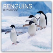 Cover-Bild zum Titel 'Penguins - Pinguine 2027 - 16-Monatskalender' von 'Gifted Stationery Co. Ltd'