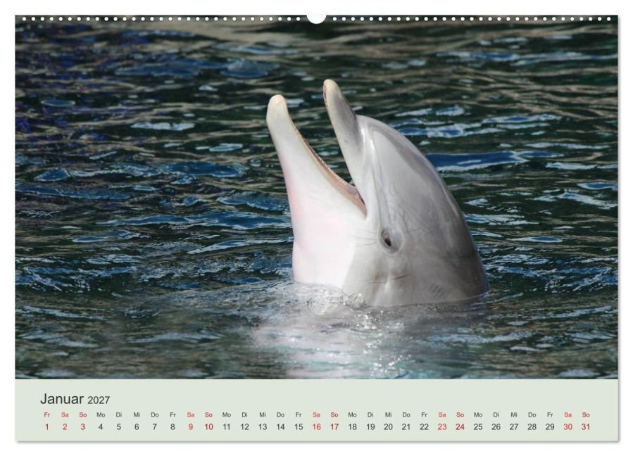 InsideView 5