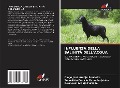 Cover-Bild zum Titel 'INFLUENZA DELLA SALINITÀ DELL'ACQUA' von 'Diego José Araújo Bandeira, Sebastião Benício Carvalho Júnior, Dermeval Araújo Furtado'