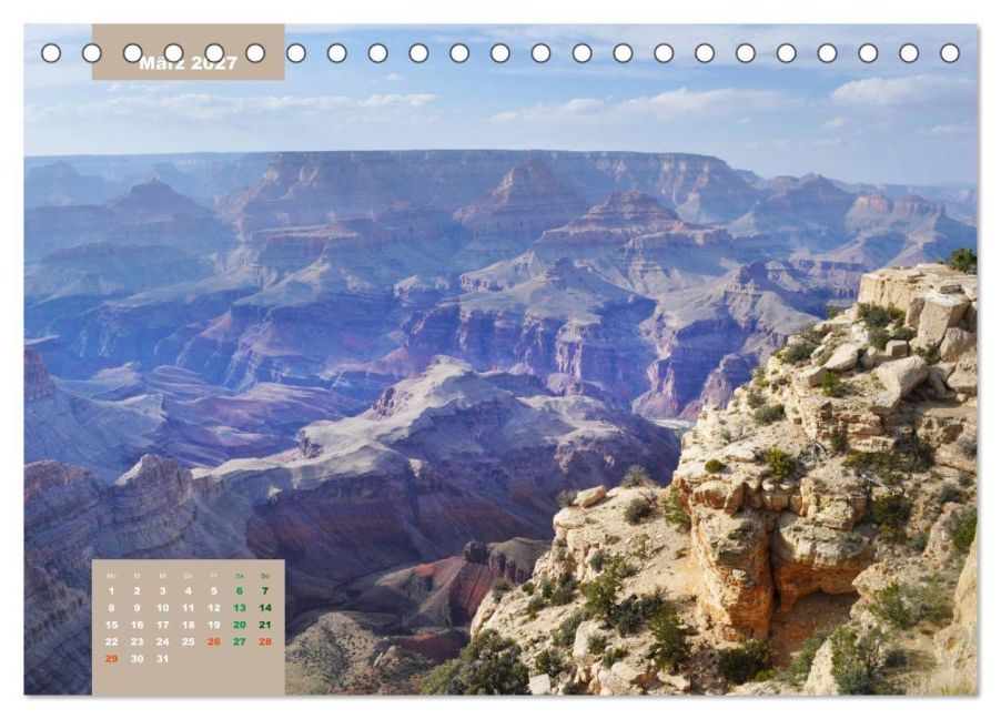 InsideView 8