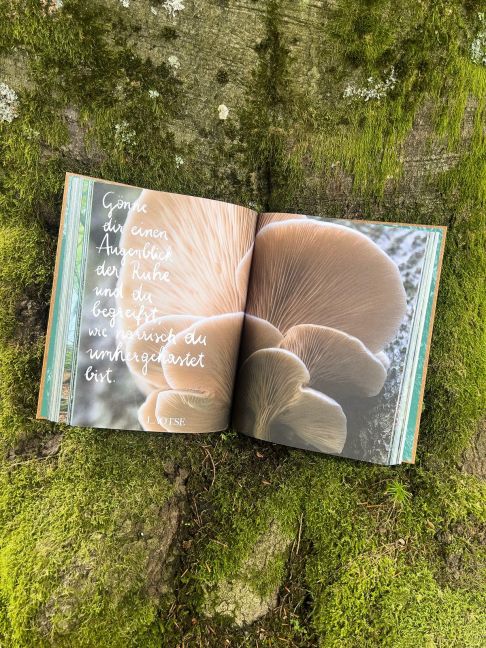 InsideView 5