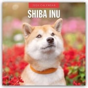 Shiba Inu 2026 - 16-Monatskalender - Robin Red