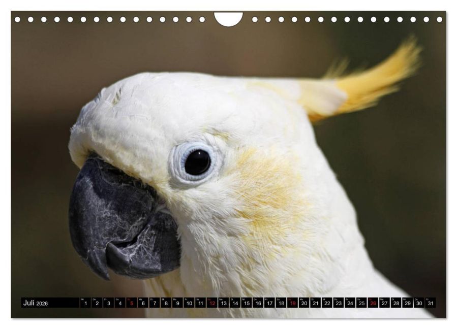 InsideView 12