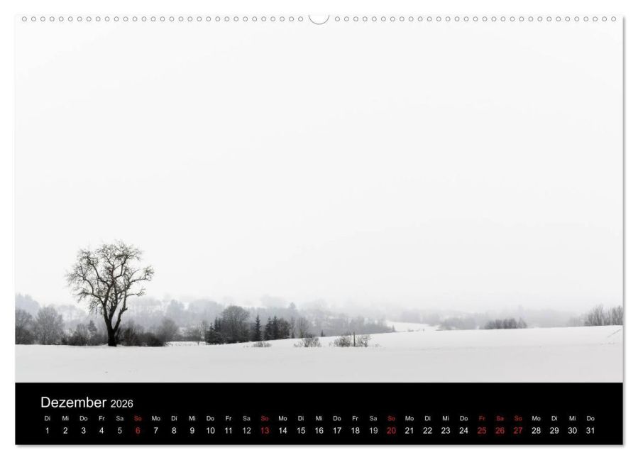 InsideView 4