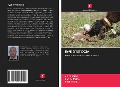 Cover-Bild zum Titel 'EWE DYSTOCIA' von 'Ali Dahmani, Karim Rahal, Rachid Kaidi'