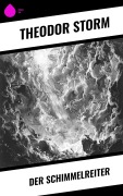 Cover-Bild zum Titel 'Der Schimmelreiter' von 'Theodor Storm'