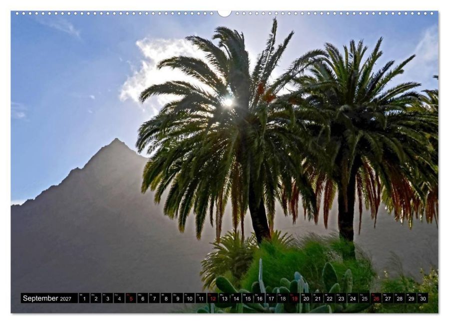 InsideView 14