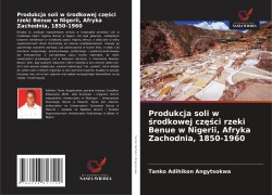 Cover-Bild zum Titel 'Produkcja soli w ¿rodkowej cz¿¿ci rzeki Benue w Nigerii, Afryka Zachodnia, 1850-1960' von 'Tanko Adihikon Angytsokwa'