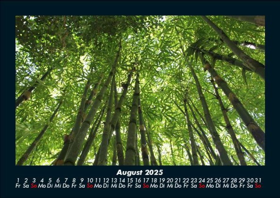 InsideView 12