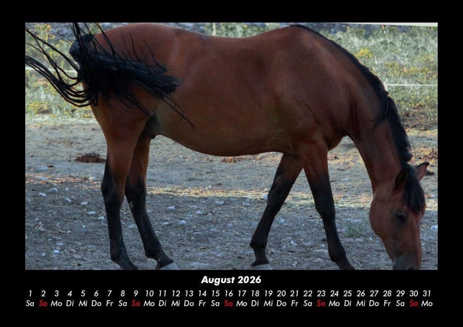InsideView 12