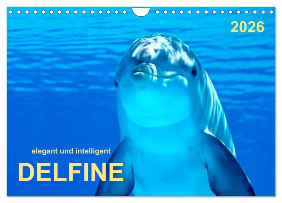 Delfine - elegant und intelligent (Wandkalender 2026 DIN A4 quer), CALVENDO Monatskalender - Peter Roder