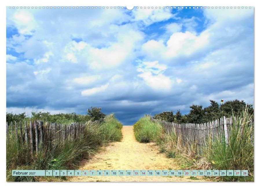 InsideView 7