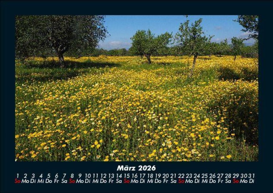 InsideView 7
