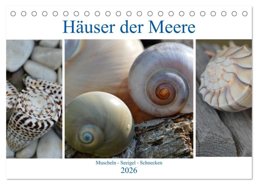 Häuser der Meere: Muscheln - Seeigel - Schnecken (Tischkalender 2026 DIN A5 quer), CALVENDO Monatskalender - Renate Grobelny
