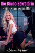 Cover-Bild zum Titel 'Die Bimbo-Sekretärin: Heiße Stunden im Büro' von 'Sienna Velvet'