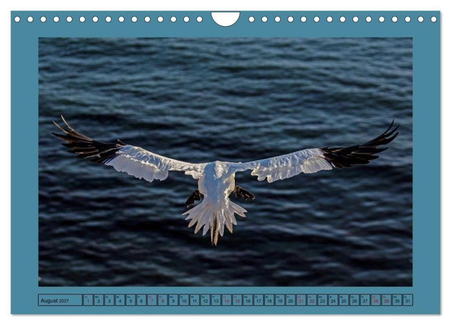 InsideView 13