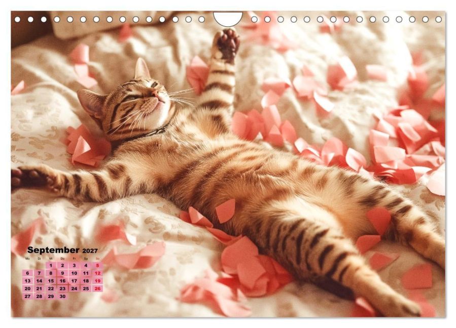 InsideView 14