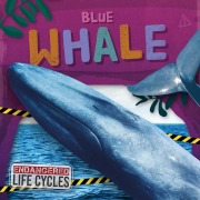 Cover-Bild zum Titel 'Blue Whale' von 'E C Andrews'