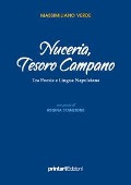 Cover-Bild zum Titel 'Nuceria, tesoro campano. Tra poesie e lingua napoletana' von 'Massimiliano Verde, Regina Stanzione'