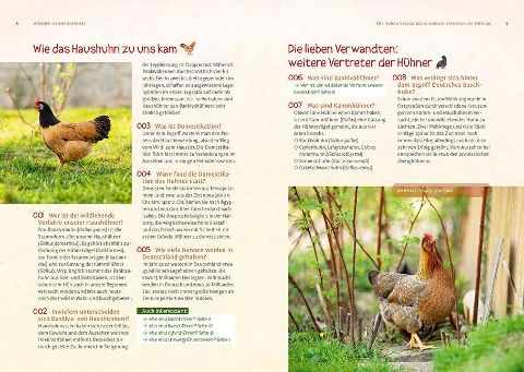 InsideView 1