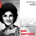 Cover-Bild zum Titel 'Berufsrisiken - David gegen Goliath (Karen Silkwood)' von 'Edelgard Abenstein'
