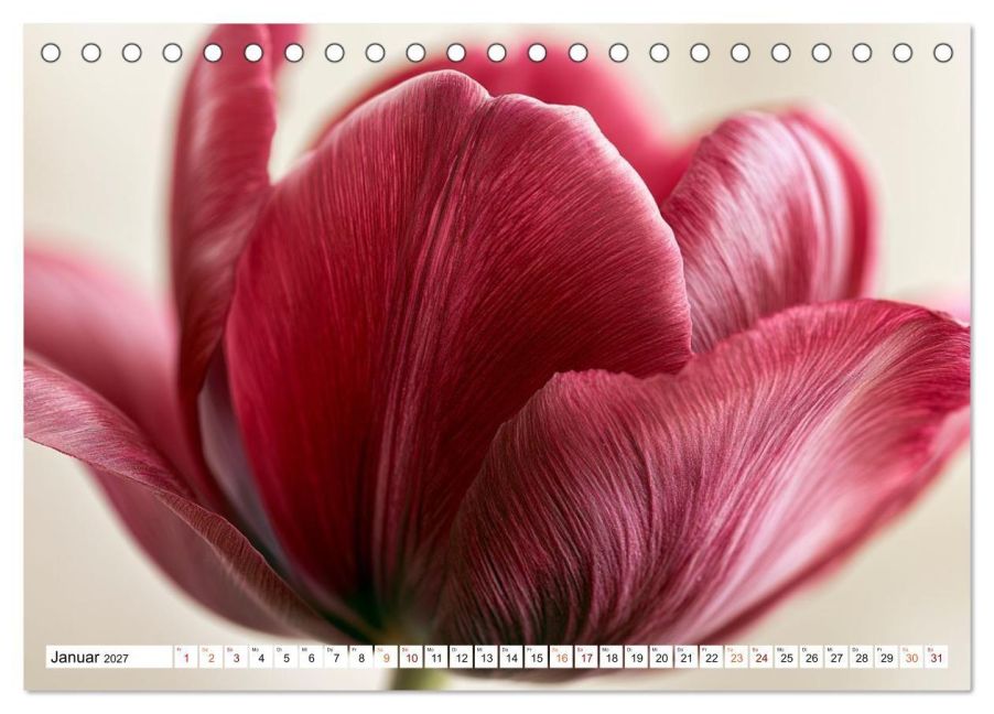 InsideView 6