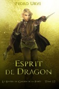 Cover-Bild zum Titel 'Esprit de dragon' von 'Pedro Urvi'