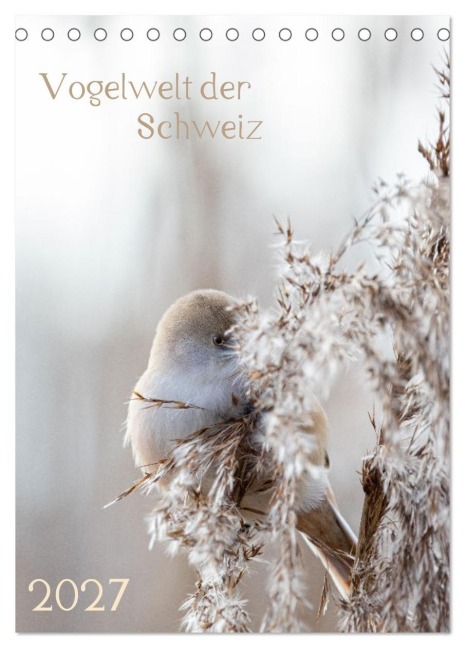 Vogelwelt der Schweiz (Tischkalender 2027 DIN A5 hoch), CALVENDO Monatskalender - Andrea Schüpbach
