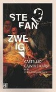 Cover-Bild zum Titel 'Castellio Calvine Karsi ya da Vicdanin Zorbaliga Isyani' von 'Stefan Zweig'