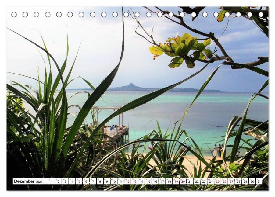 InsideView 4