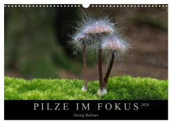 Cover-Bild zum Titel 'PILZE IM FOKUS 2026 (Wandkalender 2026 DIN A3 quer), CALVENDO Monatskalender' von 'Georg Stelzner'