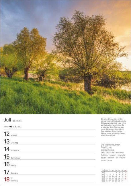 InsideView 9
