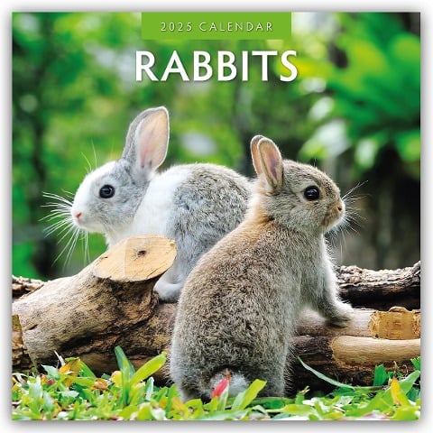 Rabbits - Hasen - Kaninchen 2025 - 16-Monatskalender - 