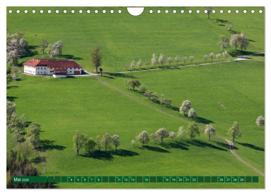 InsideView 10