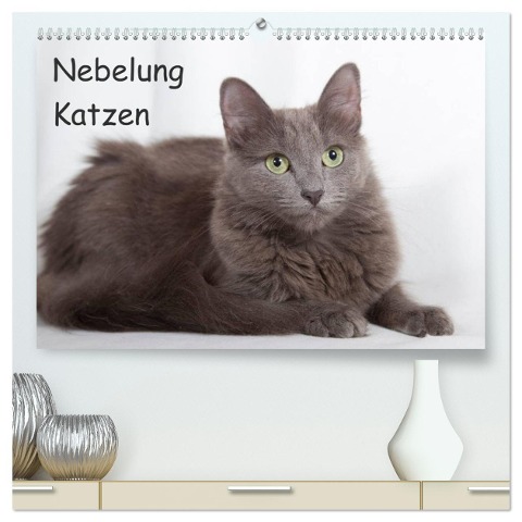 Nebelung Katzen (hochwertiger Premium Wandkalender 2025 DIN A2 quer), Kunstdruck in Hochglanz - Fotodesign Verena Scholze