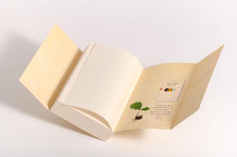 InsideView 7
