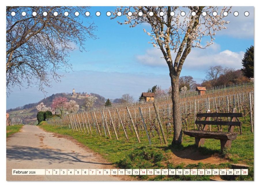 InsideView 7