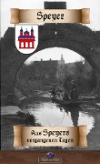 Wegweiser durch Speyer für Fremde und Einheimische - Erik Schreiber