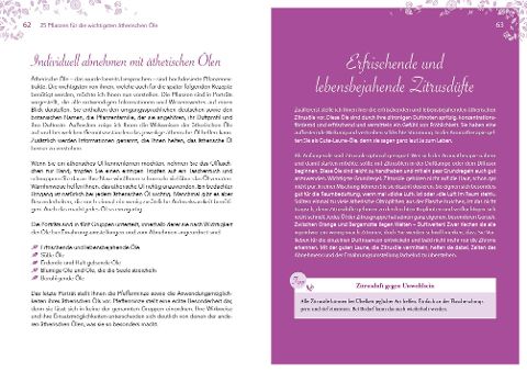 InsideView 3