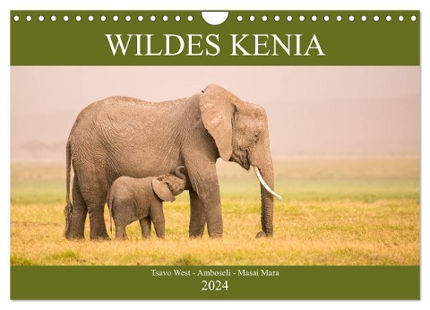Wildes Kenia (Wandkalender 2024 DIN A4 quer), CALVENDO Monatskalender - Martina Schikore